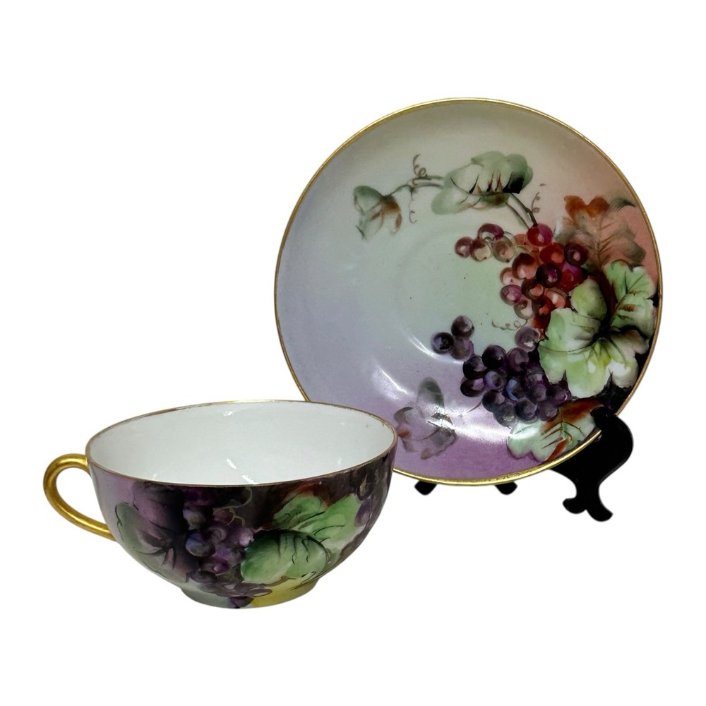 Vintage Carl Tielsch C.T. Altwasser Germany Hand Painted Grapes Tea Cup & Saucer